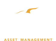 Holfidis asset management
